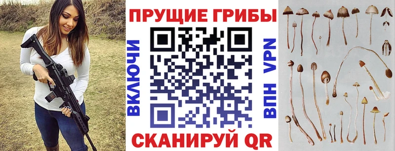 хочу   Болотное  Галлюциногенные грибы мухоморы 